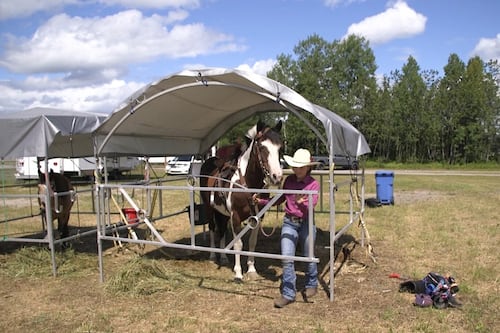 Festival d'équitation: découvrez le gymkhana
