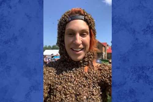 «C'est malade»: elle se recouvre de milliers d'abeilles afin de sensibiliser la population