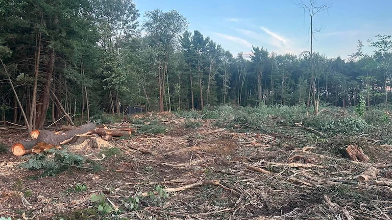 Des travaux de déboisement ont eu lieu à Mascouche au début d'août 2026 au coin du chemin des Anglais et de l'avenue de l'Esplanade. Les lieux accueilleront une épicerie et une pharmacie.