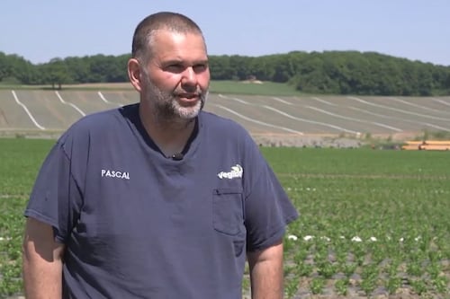 Dépotoir illégal à Kanesatake: un producteur nie avoir arrosé ses légumes avec l’eau contaminée