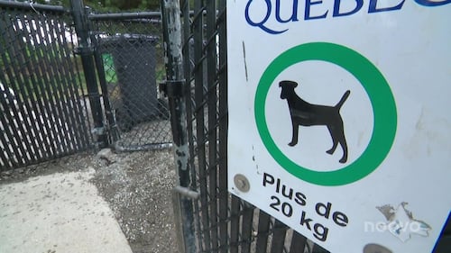 «Invivable»: l’administrateur d’un groupe Facebook sur les chiens visé par des menaces