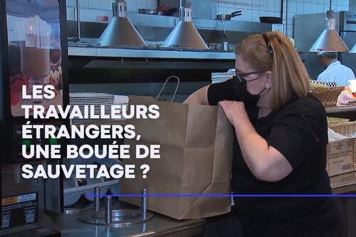 Les travailleurs étrangers sont-ils la solution à la pénurie de main d'œuvre?