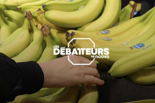 QUESTION DU JOUR | La culture des diètes fait-elle plus de mal que de bien?