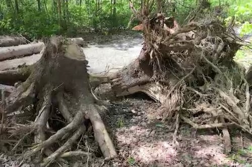 Intempéries: plus de peur que de mal au domaine scout de Saint-Louis-de-France