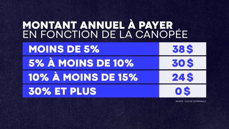 Montant annuel à payer en fonction de la canopée selon les règles de Victoriaville.