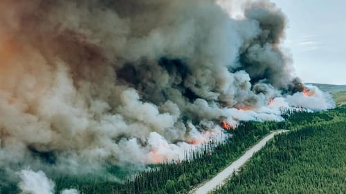 Des incendies de forêt au début de mois de mai?