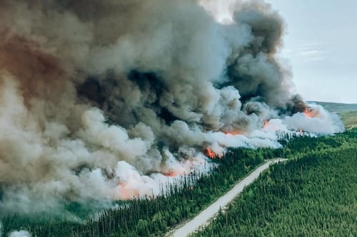 Des incendies de forêt au début de mois de mai?