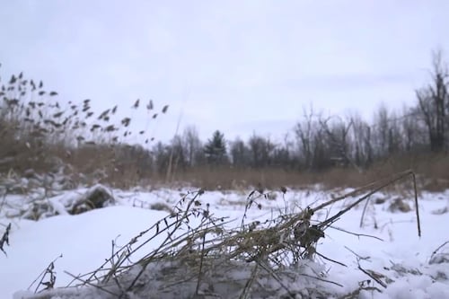 Northvolt: l'aveu du ministère de l'Environnement