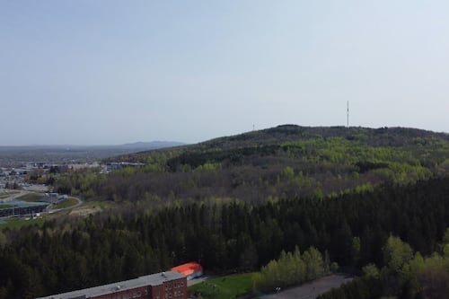 Le parc du Mont-Bellevue bientôt classé réserve naturelle