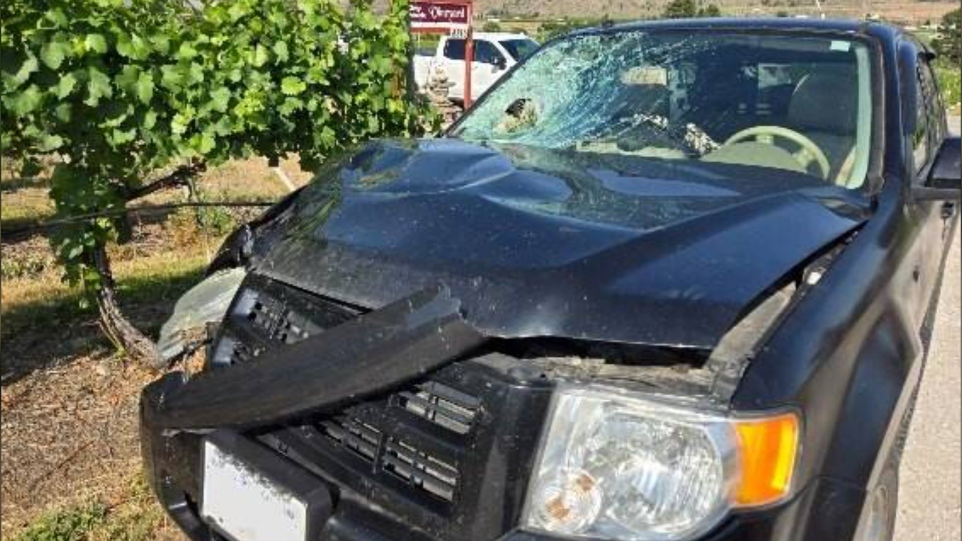 Oliver hit-and-run