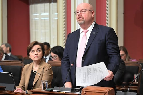 Violence faite aux femmes: le projet de loi «Gabie Renaud» est déposé