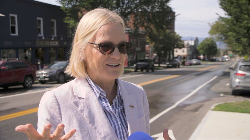 Martine Larocque Gulick, sénatrice démocrate de l’État du Vermont, septembre 2026.