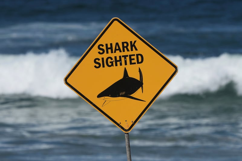 A sign is seen at the site of a fatal shark attack at Dee Why Beach in Sydney, Australia on Sept. 6, 2025. (Mark Baker / AP Photo)
