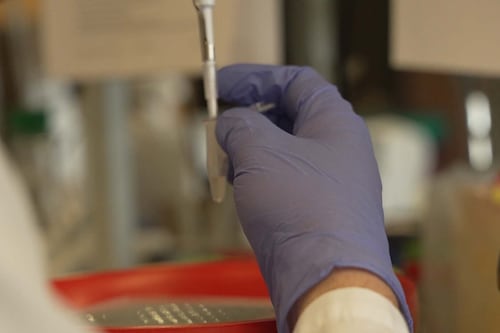 Un médicament contre l’Ebola sur le point de voir le jour à Montréal?