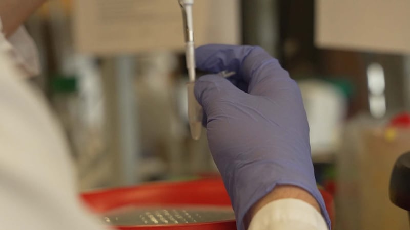 Un médicament contre l’Ebola sur le point de voir le jour à Montréal?