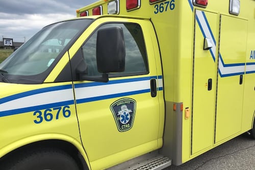 Autant de collisions mortelles en 2022 qu'en 2021 au Saguenay-Lac-Saint-Jean / Côte-Nord
