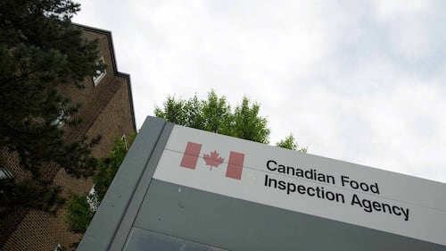 Salmonelle: des produits à base d’œufs font l’objet d’un rappel au Québec