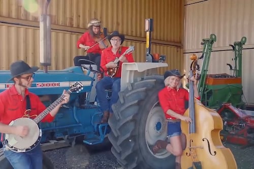 Les vaches en cavale de Saint-Sévère ont leur comédie musicale