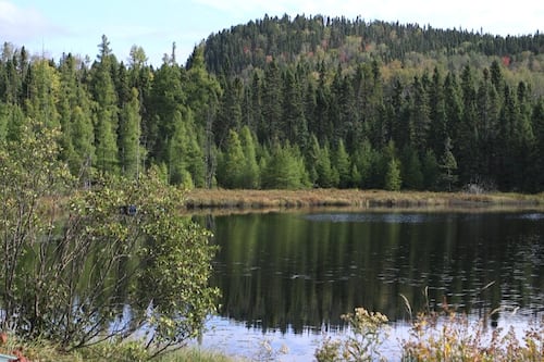 La Tuque prête pour la saison de chasse