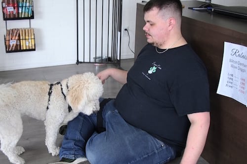 «Un combat de tous les jours»: propriétaire d'un chien d'assistance, il ne peut pas entrer dans plusieurs commerces