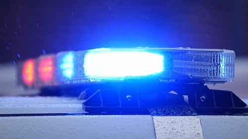 Des ossements découverts sur un terrain vague de Lévis