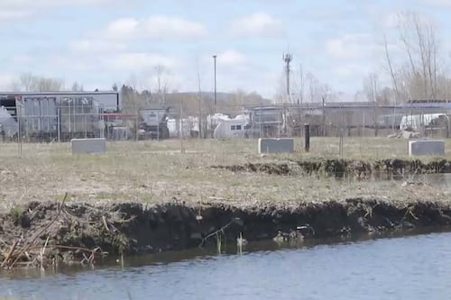 Un milieu humide sur une «cour à scrap» à Québec