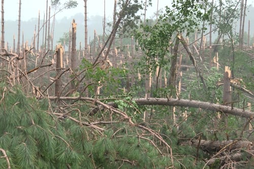 Possible tornade dans les Laurentides: l’heure est au nettoyage pour des résidents