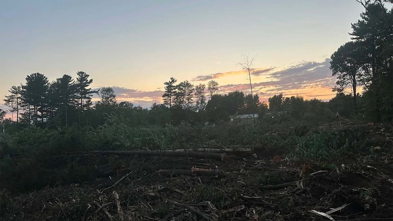 Des travaux de déboisement ont eu lieu à Mascouche au début d'août 2026 au coin du chemin des Anglais et de l'avenue de l'Esplanade. Les lieux accueilleront une épicerie et une pharmacie.