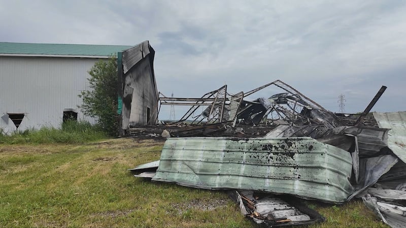 Environ 32 000 volailles ont péri samedi 11 juillet 2026 dans l’incendie d’un bâtiment agricole survenu dans le secteur St-Bruno à Hébertville.