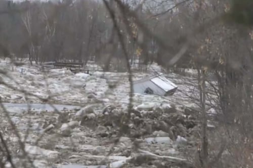 Chevaux coincés dans une rivière: les propriétaires de l’écurie poursuivent une résidente