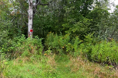 Masturbation «à vue»: la police de Magog lutte contre la grossière indécence