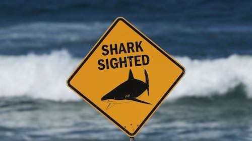 Requins meurtriers: un pêcheur tué dans une troisième attaque en quatre semaines
