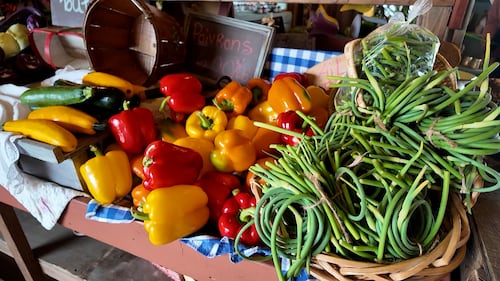 Des comportements «déplorables» de visiteurs dans les fermes compliquent le travail des agriculteurs