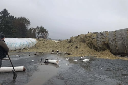 «On aurait pu mourir»: un silo à grains s’effondre à la ferme Marijo de Ste-Marie