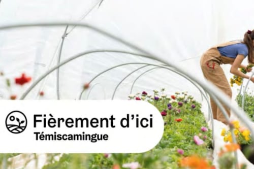 Le Témiscamingue veut propulser son agrotourisme