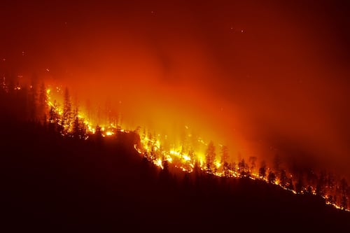 Catastrophes naturelles: ce qu’il faut savoir pour limiter les impacts sur votre portefeuille