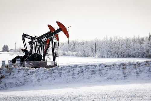 Environnement: 2025 a été l’année des reculs