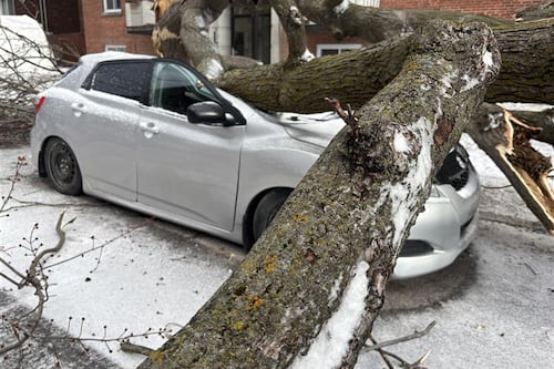 Forts vents: les dommages en images