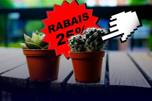 Avez-vous fait affaire avec un commerce illégal de plantes sans le savoir?