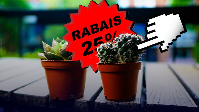 Avez-vous fait affaire avec un commerce illégal de plantes sans le savoir?