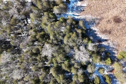 Le parc national du Mont-Orford bonifié de près de 50 km carrés