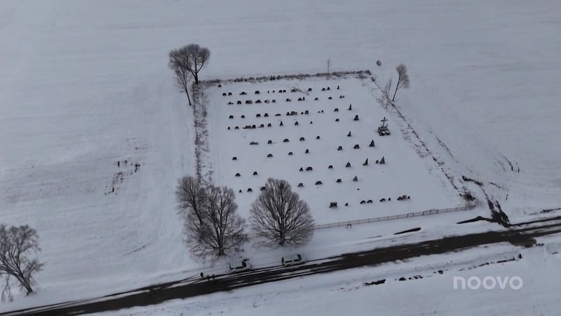 Une coupe d’arbres dans un cimetière de l’Estrie fait des mécontents