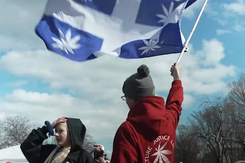 420: quel constat sept ans après la légalisation du cannabis au Canada?