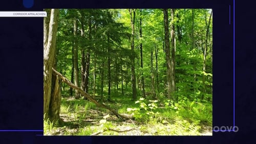 Les régions du Québec mobilisées pour le jour de la Terre