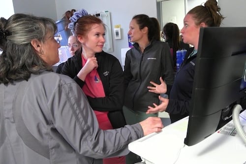 Un «bogue majeur» du DSN aurait eu des répercussions sur le traitement de patients en Mauricie