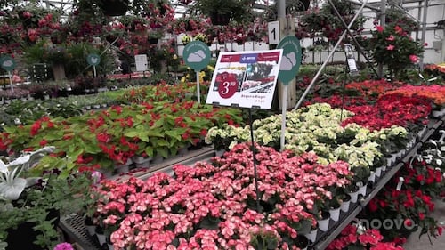 Le prix de votre jardin devrait rester abordable malgré l'essence plus chère