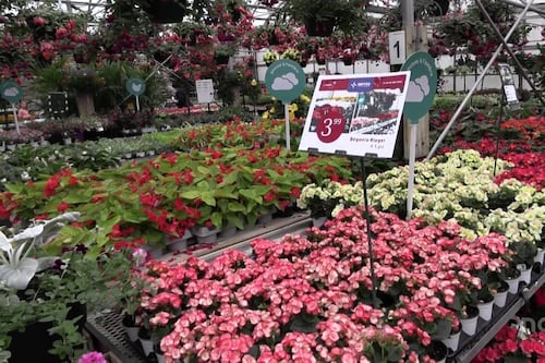 Le prix de votre jardin devrait rester abordable malgré l'essence plus chère