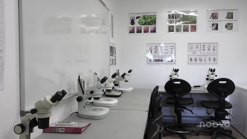 Un nouveau laboratoire pour protéger la canneberge