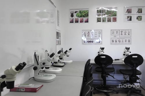 Un nouveau laboratoire pour protéger la canneberge
