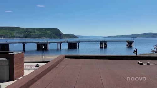 Le retour inattendu du bar rayé dans le Saguenay